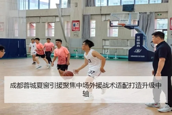 成都蓉城夏窗引援聚焦中场外援战术适配打造升级中轴